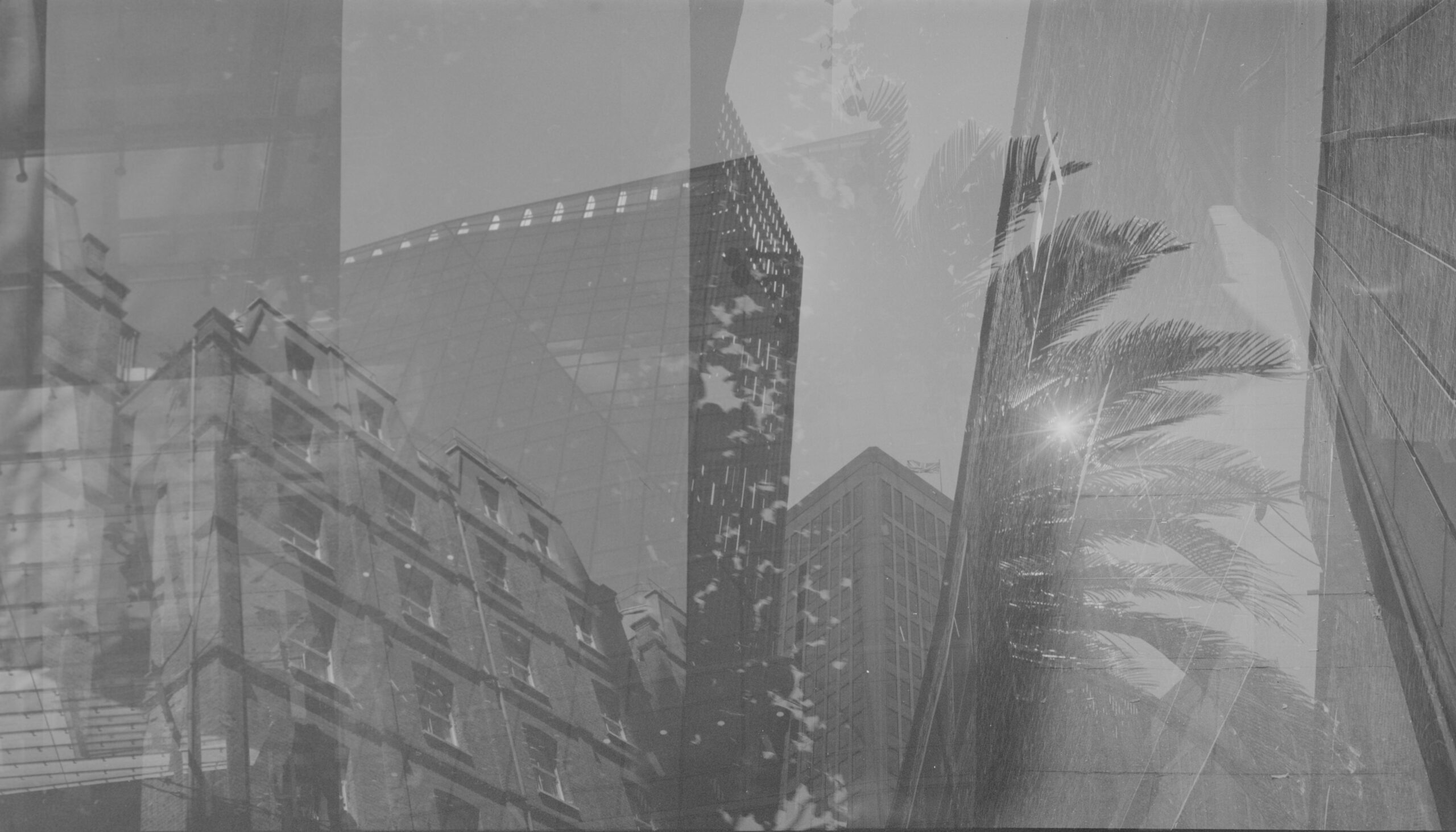 Layered monochrome cityscape with high-rises and palm trees