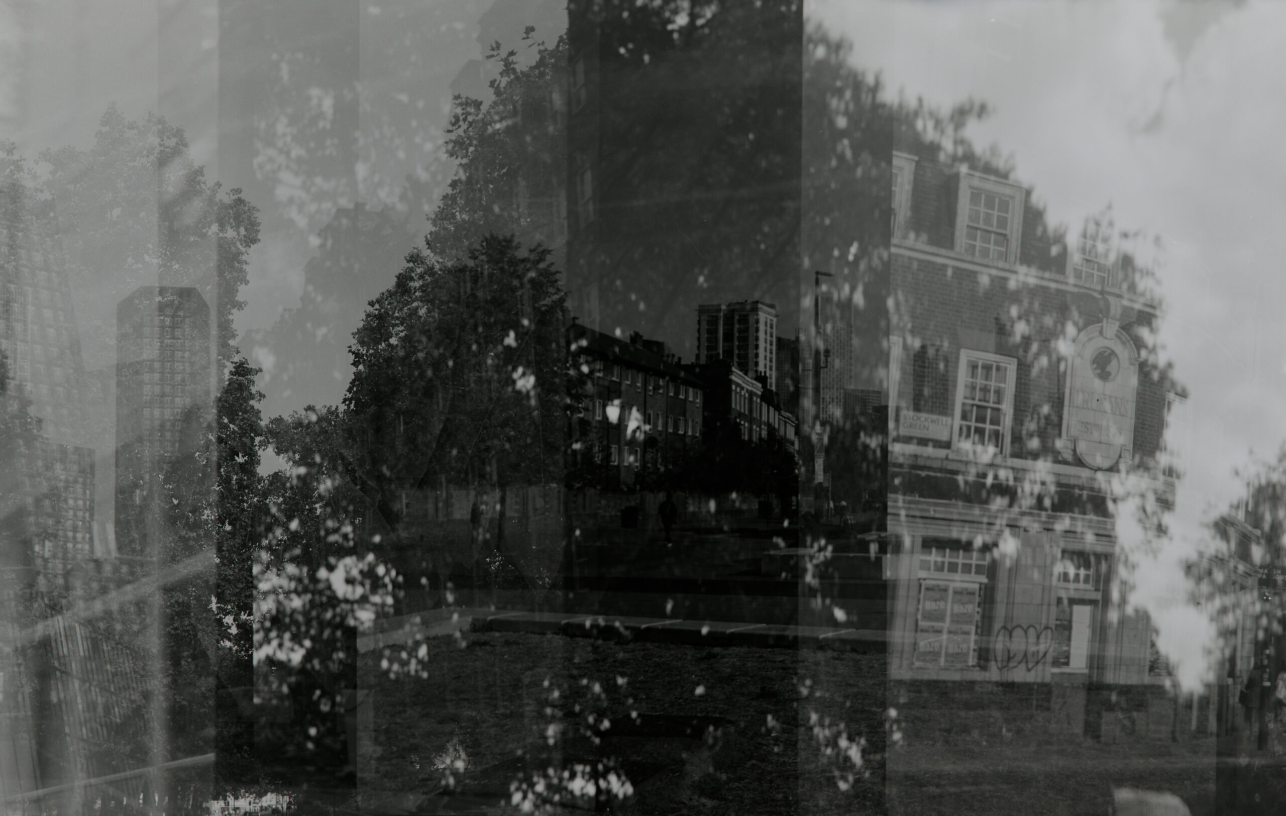 Layered black-and-white streetscape with trees and high-rise buildings