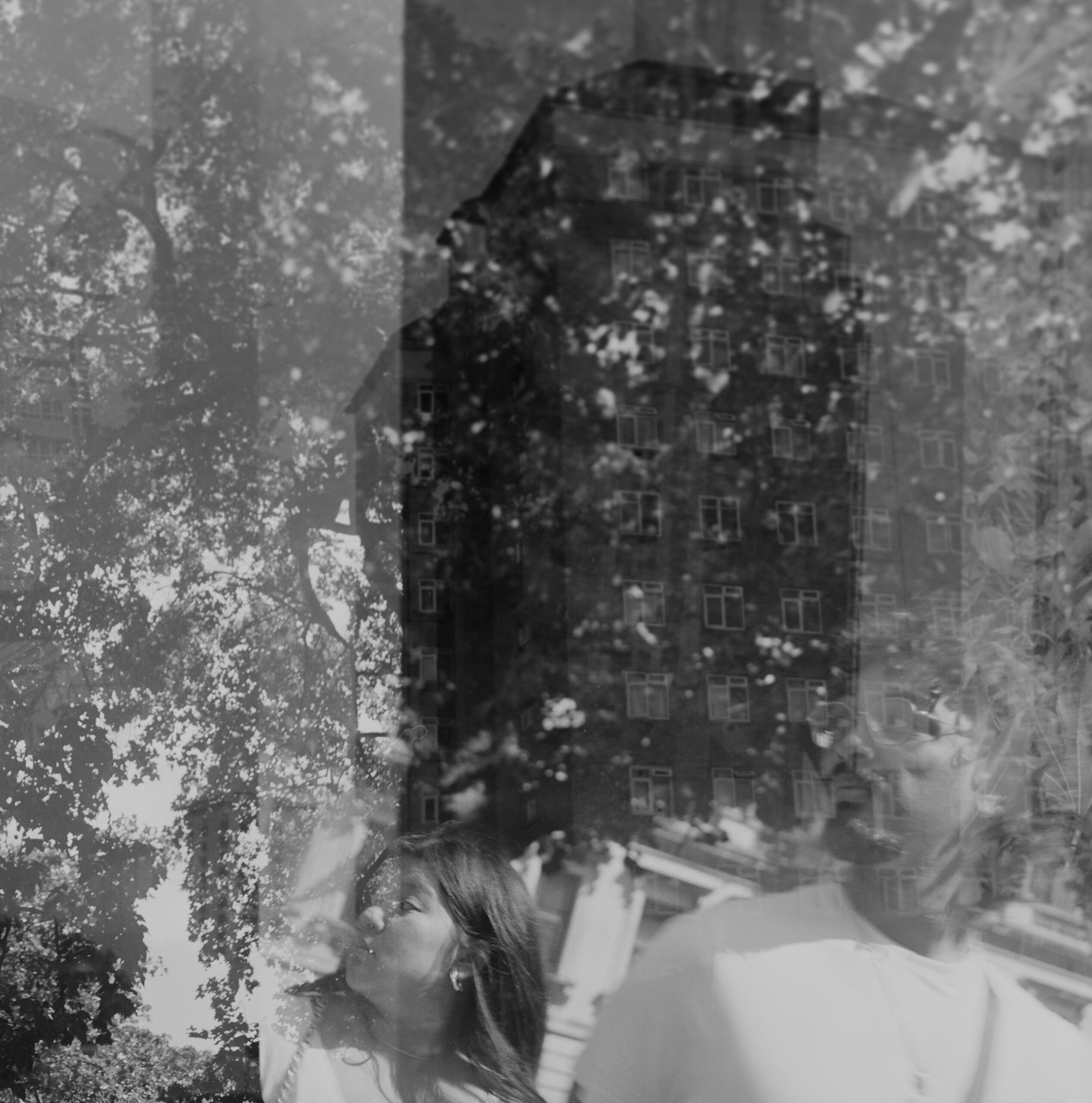 Black-and-white reflected profile with buildings and trees