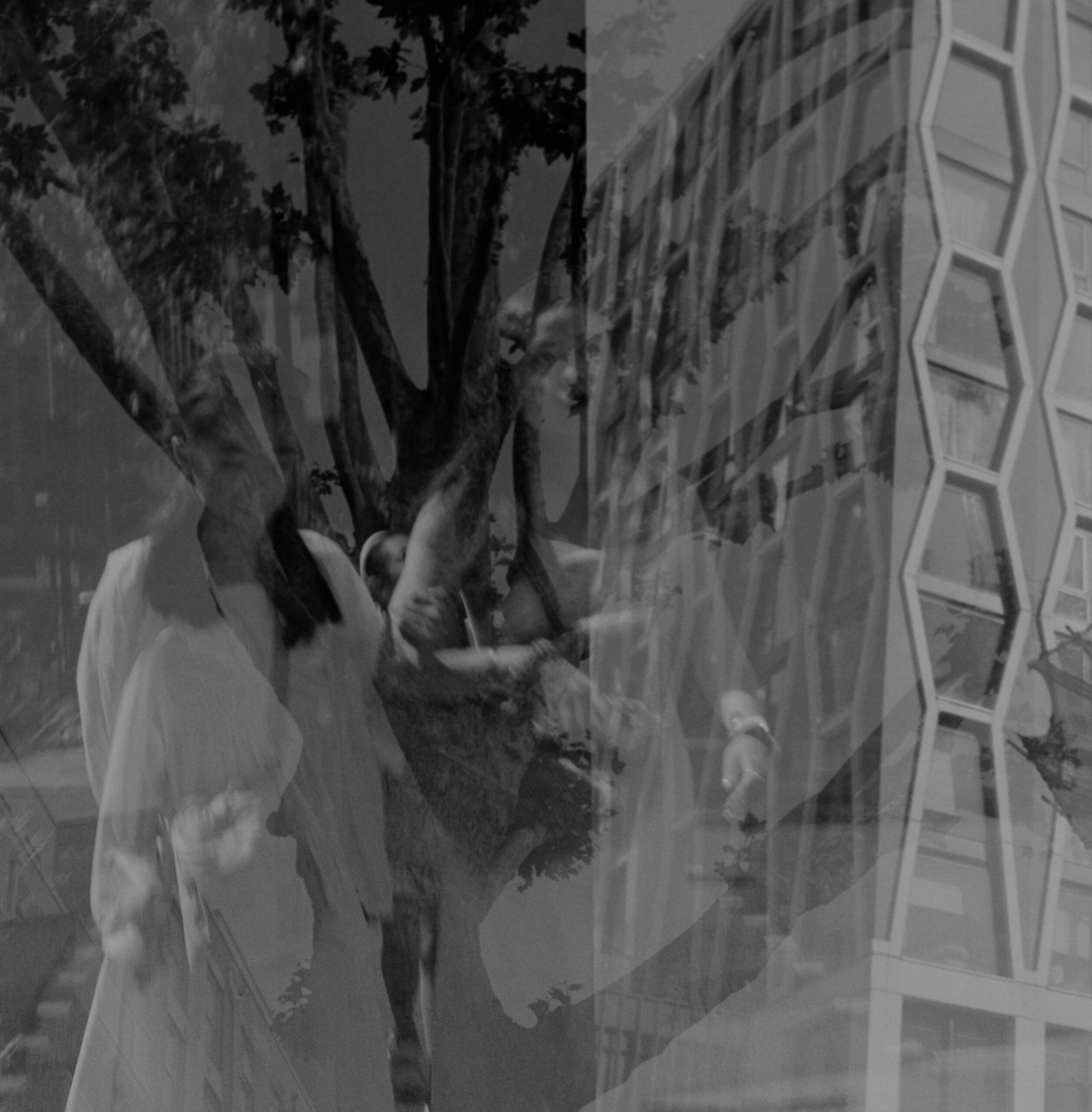 Monochrome double exposure of tree and angular glass building