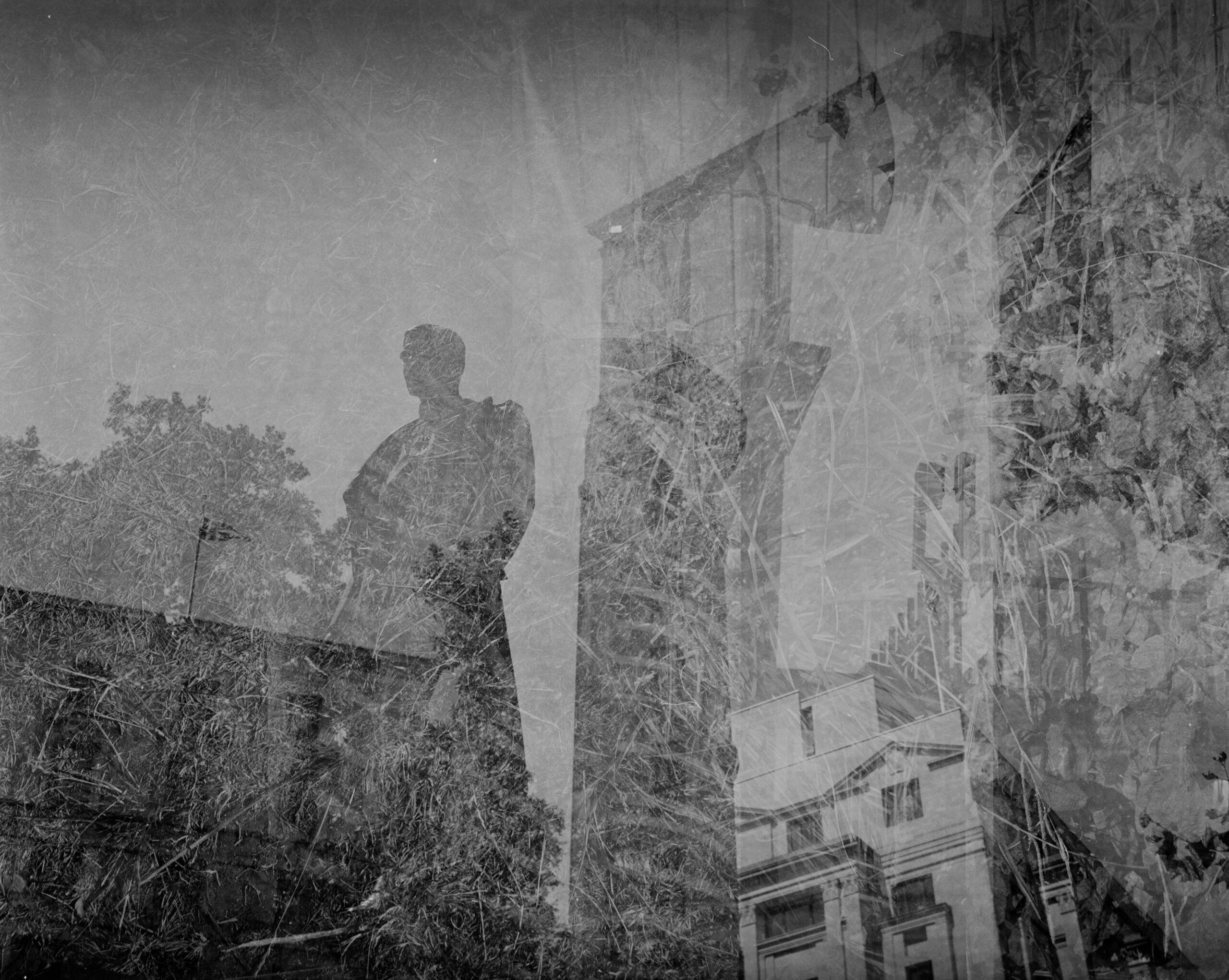 Monochrome layered figure vegetation and hillside architecture