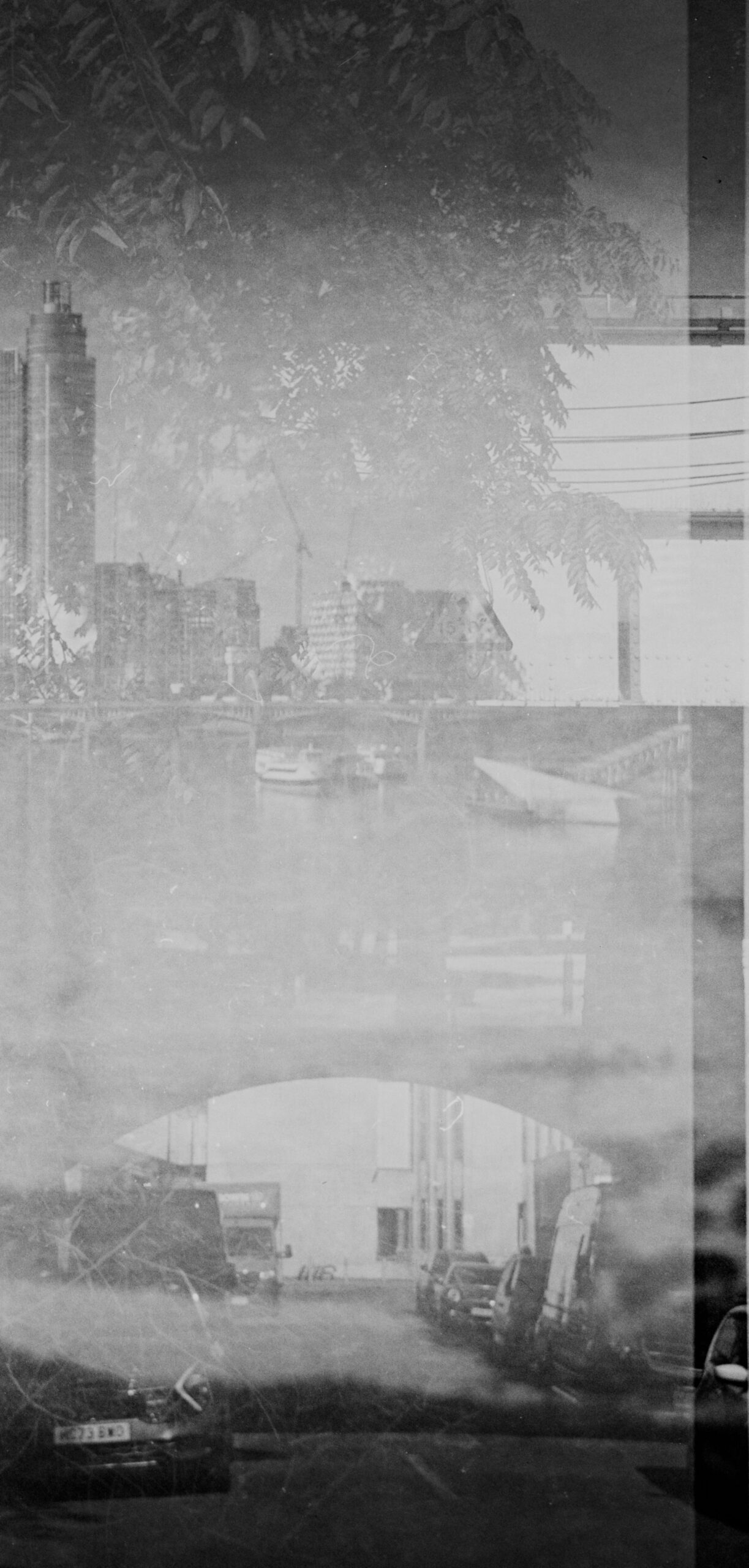 Monochrome reflective urban street scene with trees and parked cars
