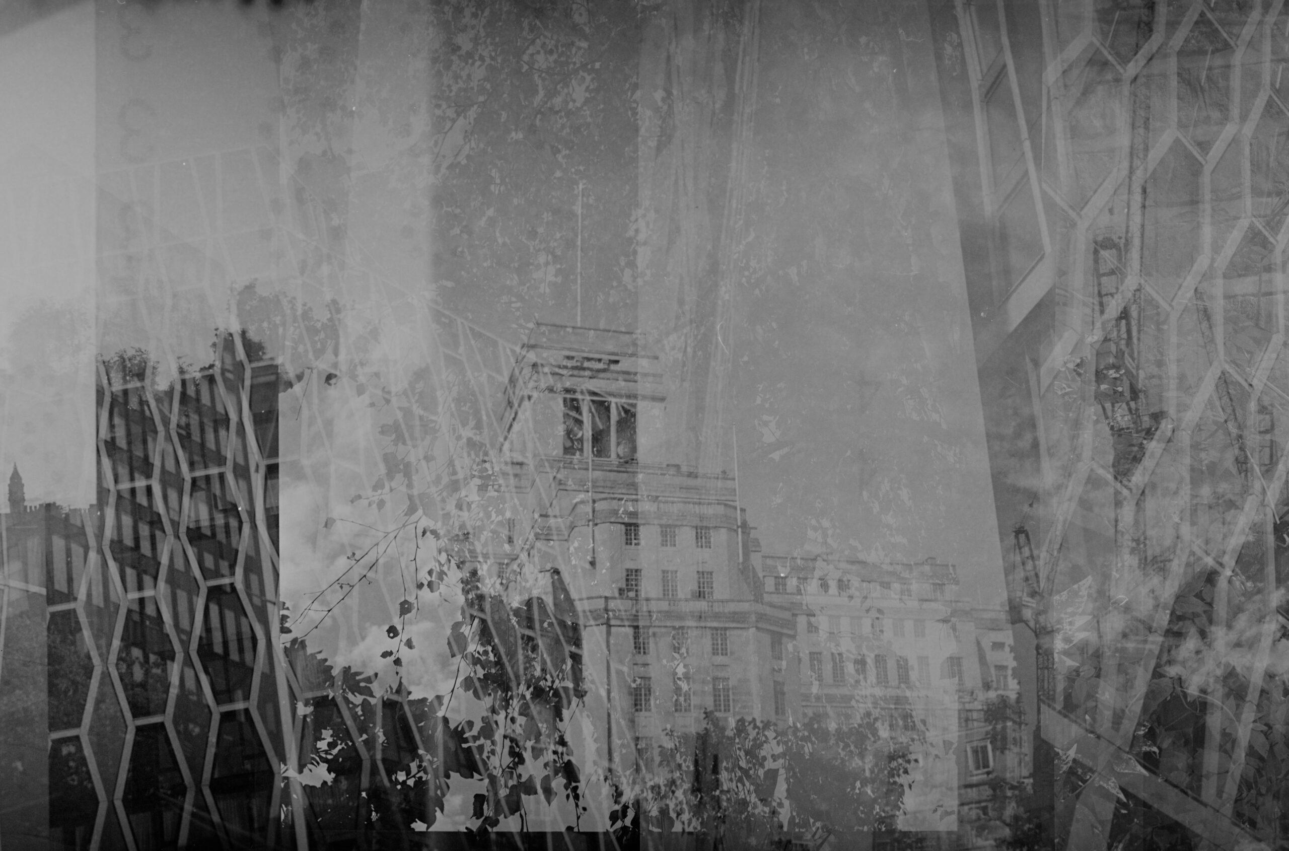 Monochrome layered city architecture and foliage