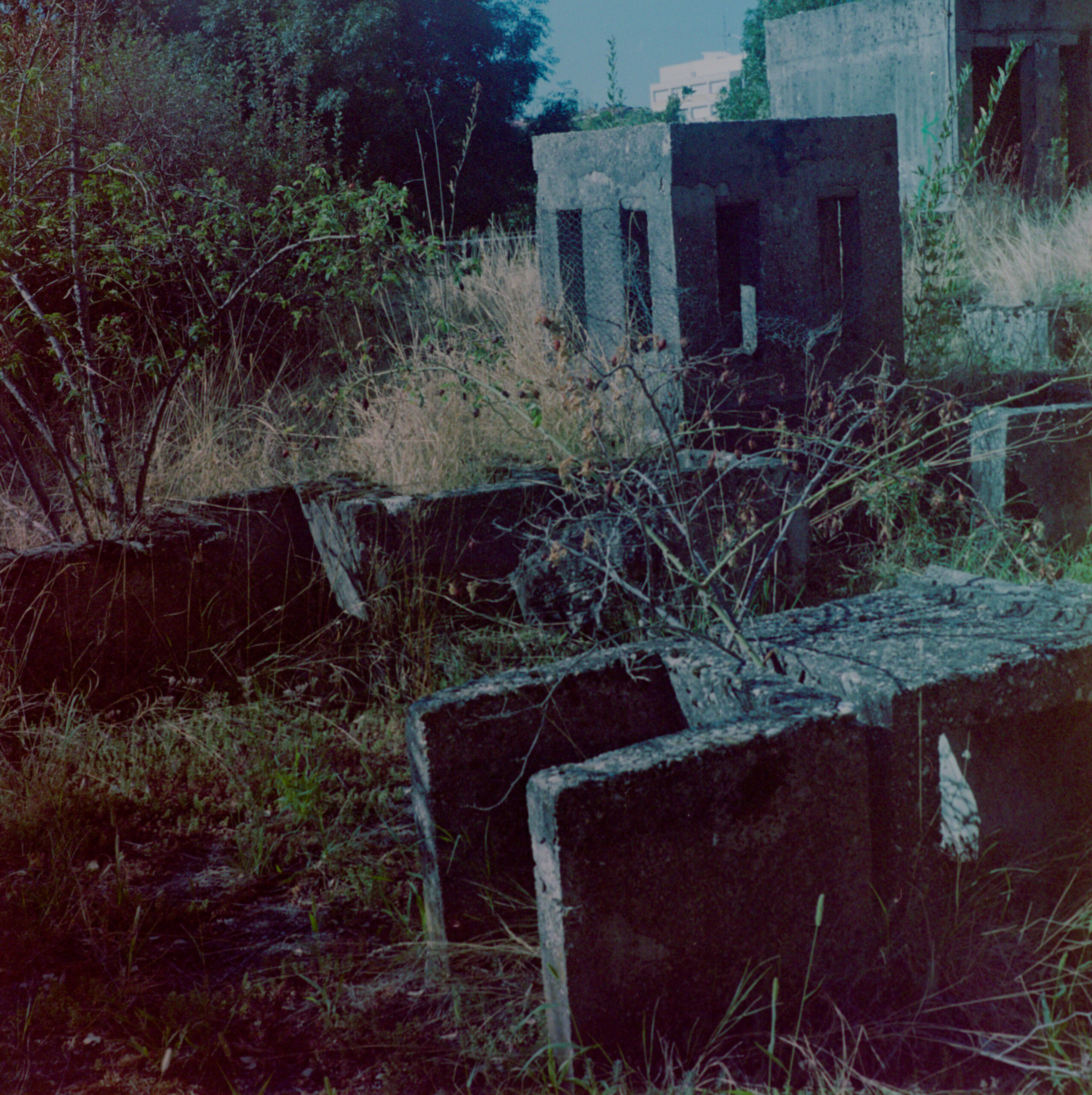 Overgrown abandoned concrete structure in Zagreb