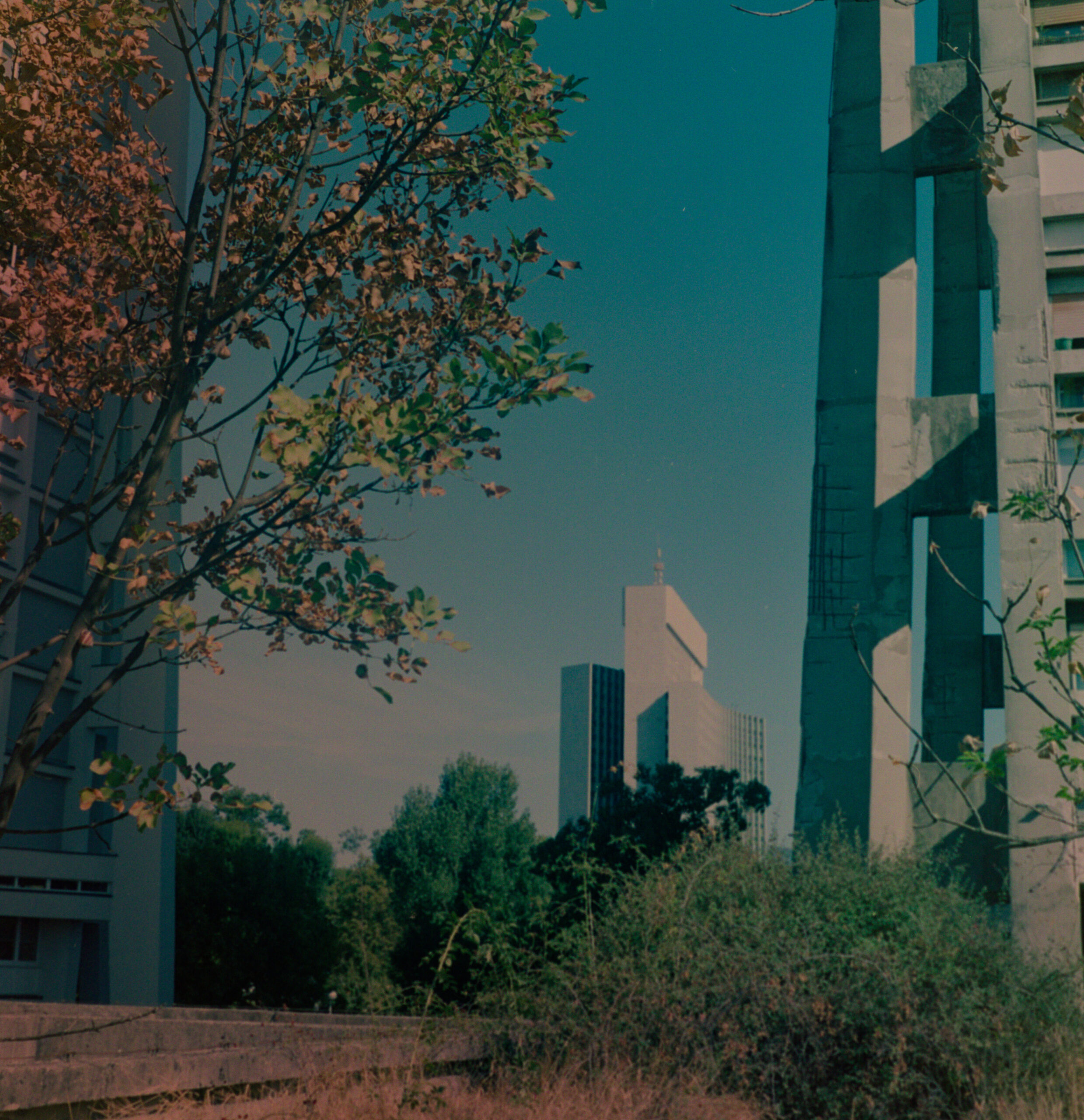 Zagreb cityscape with trees and modern buildings
