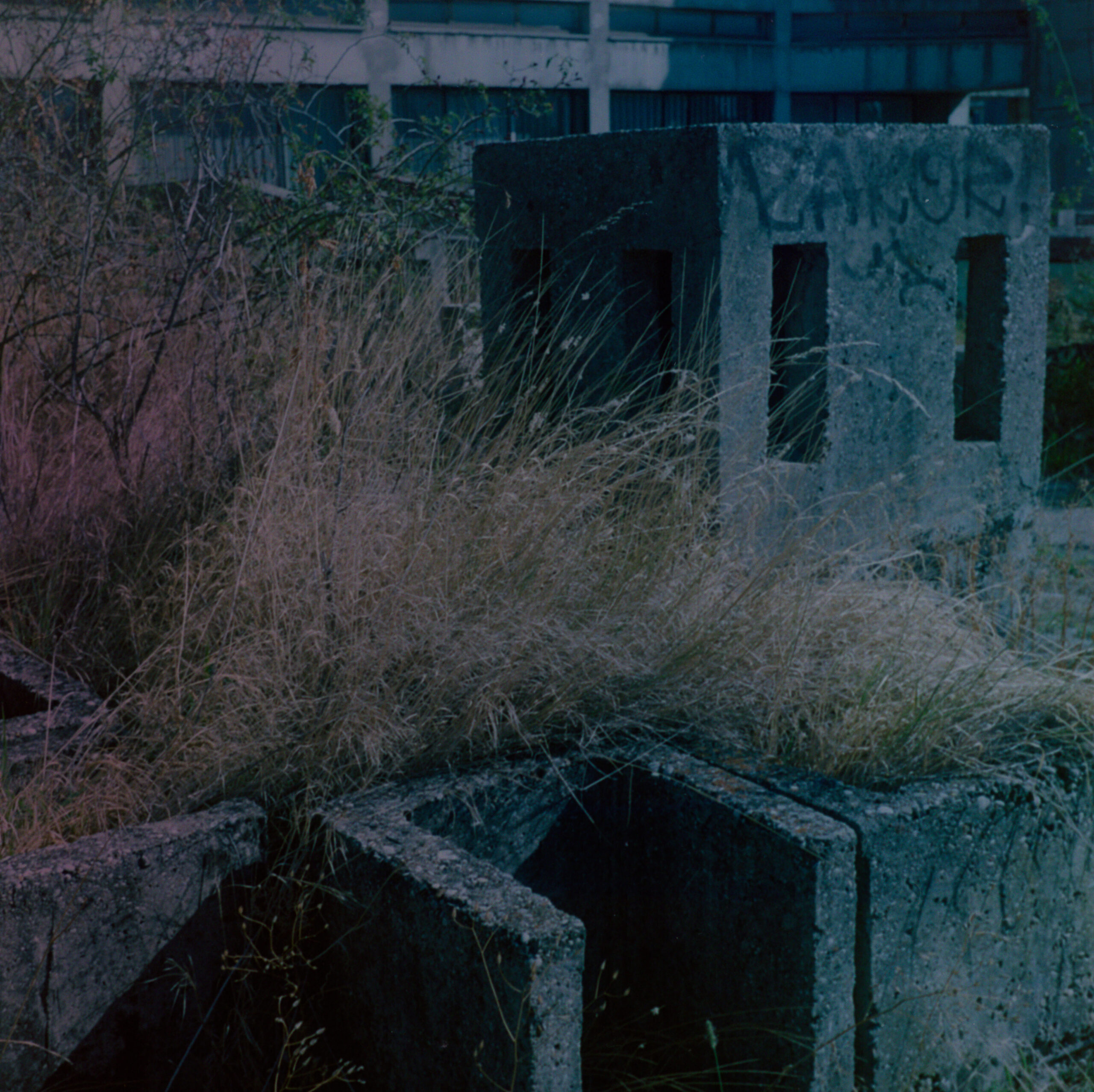 Overgrown concrete structure with dark compartments in Zagreb
